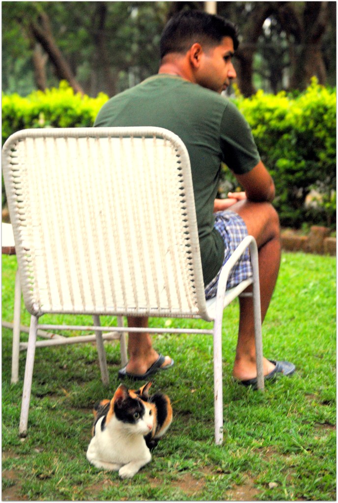 ACuriousArmyWife-Chhoni2